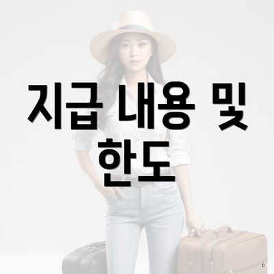 지급 내용 및 한도