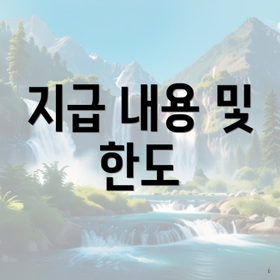 지급 내용 및 한도