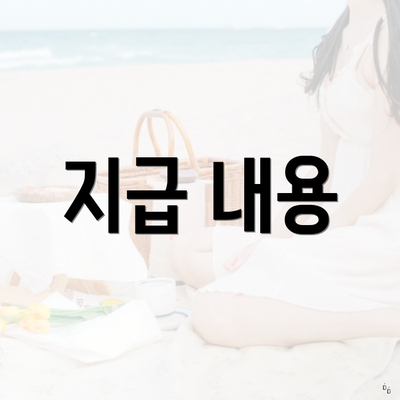 지급 내용