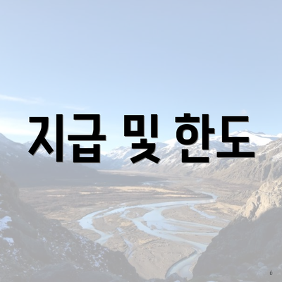 지급 및 한도