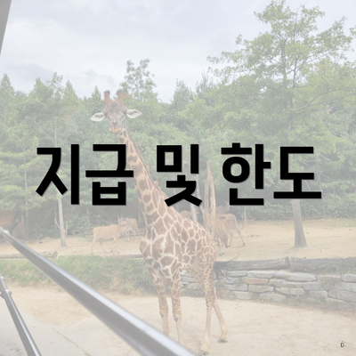 지급 및 한도