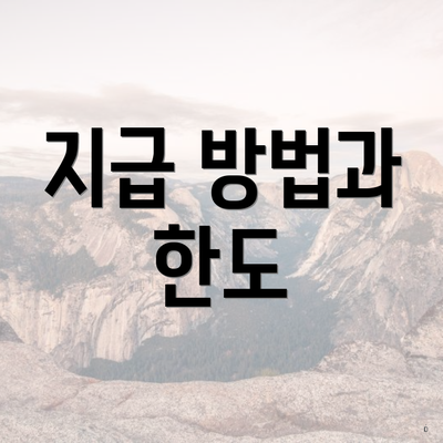 지급 방법과 한도
