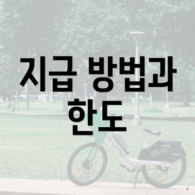 지급 방법과 한도