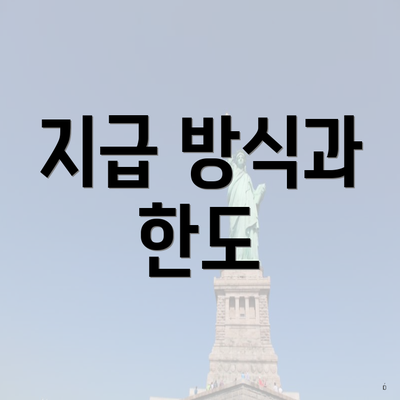 지급 방식과 한도