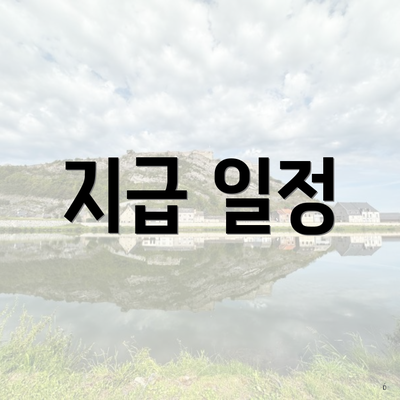 지급 일정