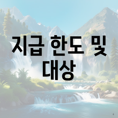 지급 한도 및 대상