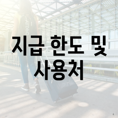 지급 한도 및 사용처