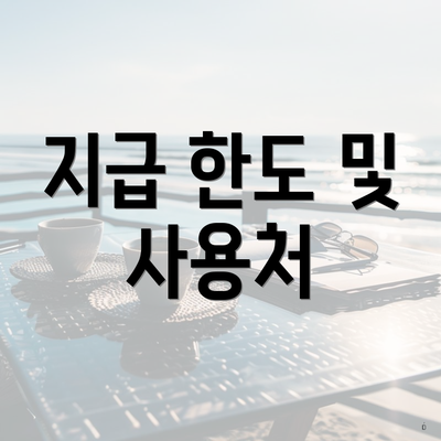 지급 한도 및 사용처