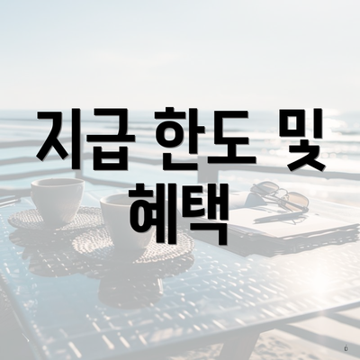 지급 한도 및 혜택