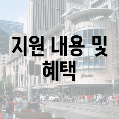 지원 내용 및 혜택