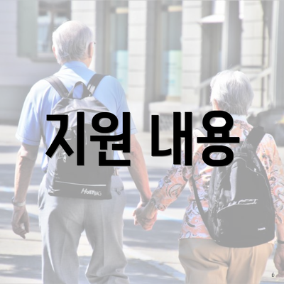지원 내용