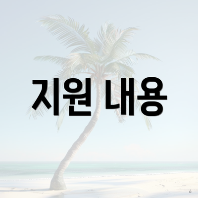 지원 내용