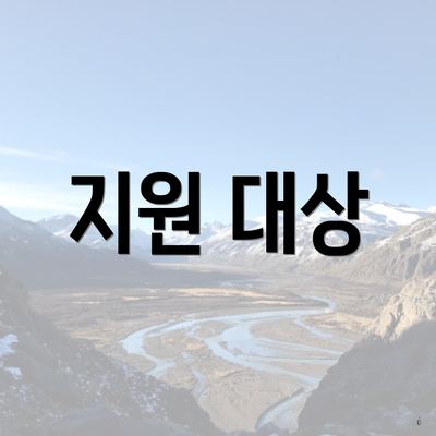 지원 대상