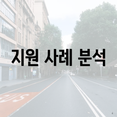 지원 사례 분석