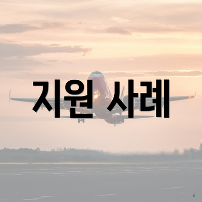 지원 사례