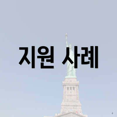 지원 사례