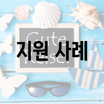 지원 사례