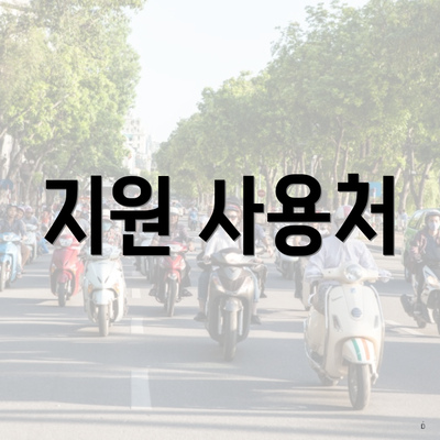 지원 사용처