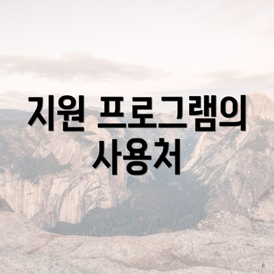 지원 프로그램의 사용처