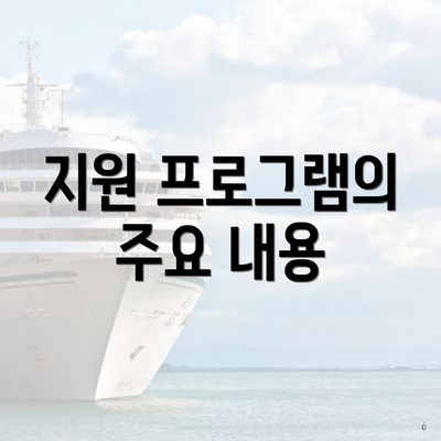 지원 프로그램의 주요 내용