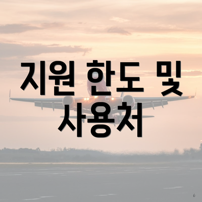지원 한도 및 사용처