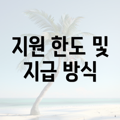 지원 한도 및 지급 방식