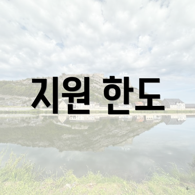 지원 한도