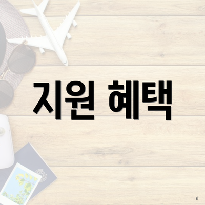 지원 혜택