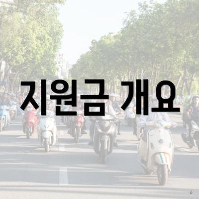 지원금 개요