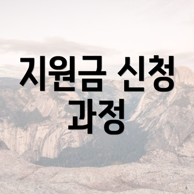 지원금 신청 과정