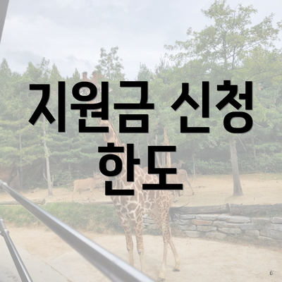 지원금 신청 한도