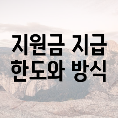 지원금 지급 한도와 방식