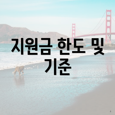 지원금 한도 및 기준