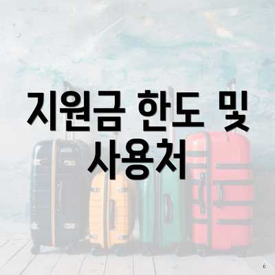 지원금 한도 및 사용처