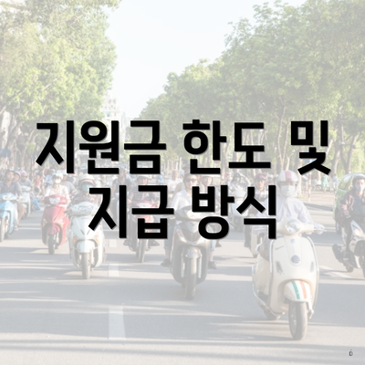 지원금 한도 및 지급 방식