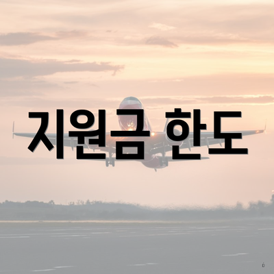 지원금 한도
