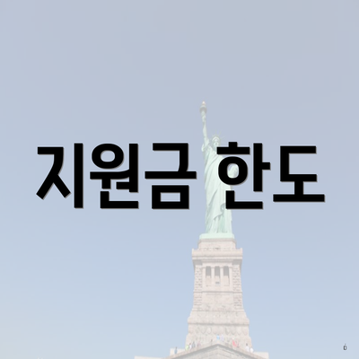 지원금 한도