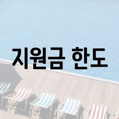 지원금 한도