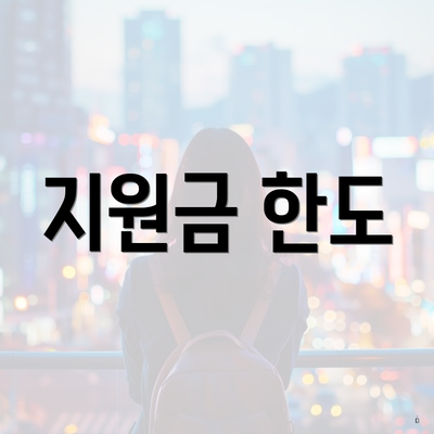 지원금 한도