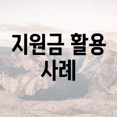 지원금 활용 사례