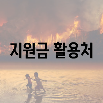 지원금 활용처