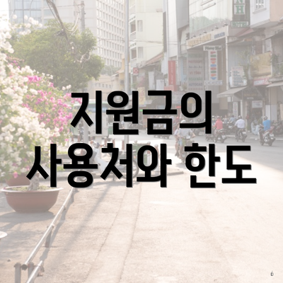 지원금의 사용처와 한도