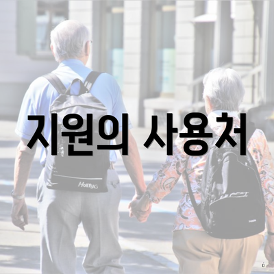 지원의 사용처