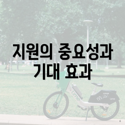 지원의 중요성과 기대 효과