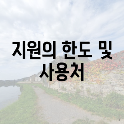 지원의 한도 및 사용처