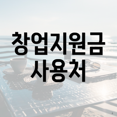 창업지원금 사용처