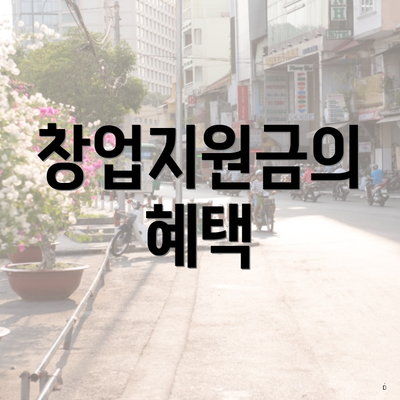 창업지원금의 혜택