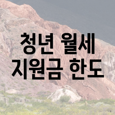 청년 월세 지원금 한도