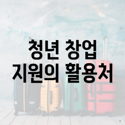 청년 창업 지원의 활용처