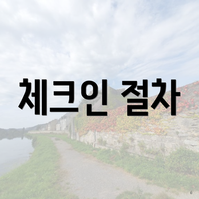 체크인 절차